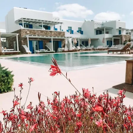 Blue, White And Grey